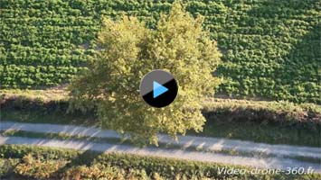 vidéo aérienne drone Vendée/>
                            <span class=